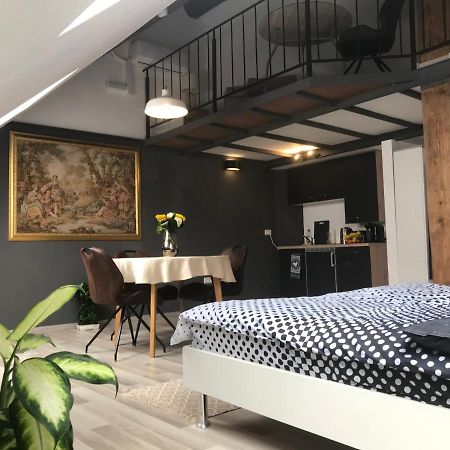 Savoya Nr2 Loft Studio Old City Center Self Check-In Workspace Timisoara Bagian luar foto