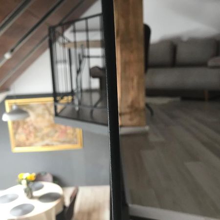 Savoya Nr2 Loft Studio Old City Center Self Check-In Workspace Timisoara Bagian luar foto