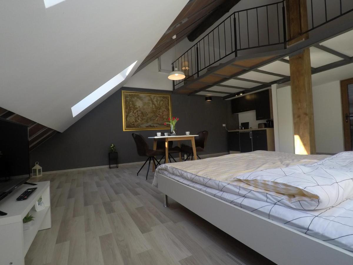 Savoya Nr2 Loft Studio Old City Center Self Check-In Workspace Timisoara Bagian luar foto