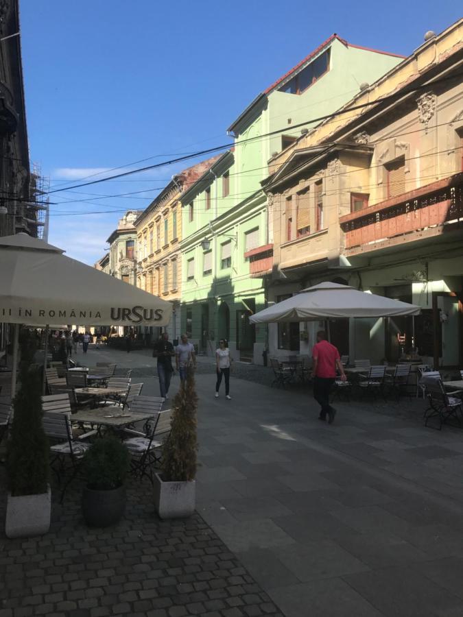 Savoya Nr2 Loft Studio Old City Center Self Check-In Workspace Timisoara Bagian luar foto