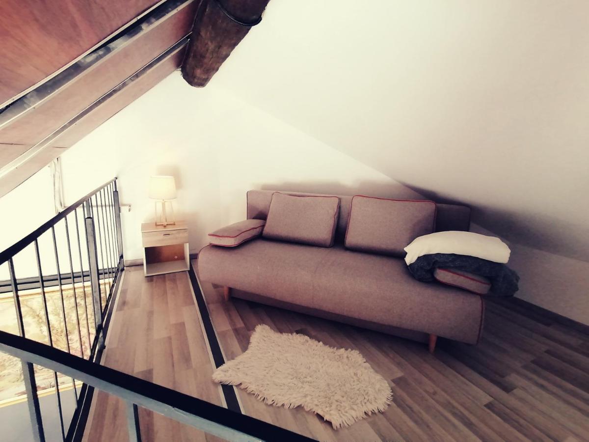 Savoya Nr2 Loft Studio Old City Center Self Check-In Workspace Timisoara Bagian luar foto