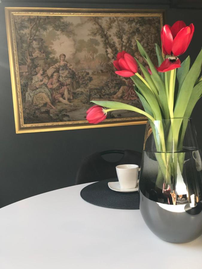 Savoya Nr2 Loft Studio Old City Center Self Check-In Workspace Timisoara Bagian luar foto
