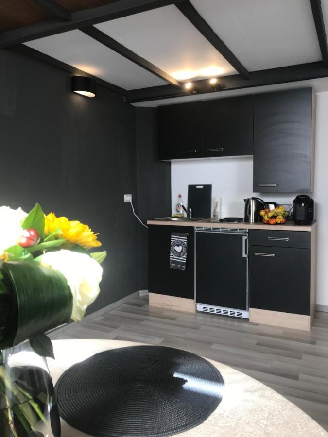 Savoya Nr2 Loft Studio Old City Center Self Check-In Workspace Timisoara Bagian luar foto