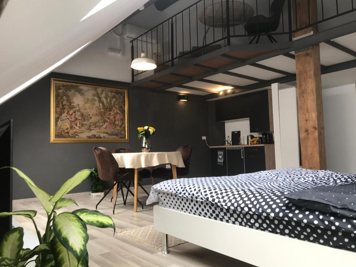 Savoya Nr2 Loft Studio Old City Center Self Check-In Workspace Timisoara Bagian luar foto