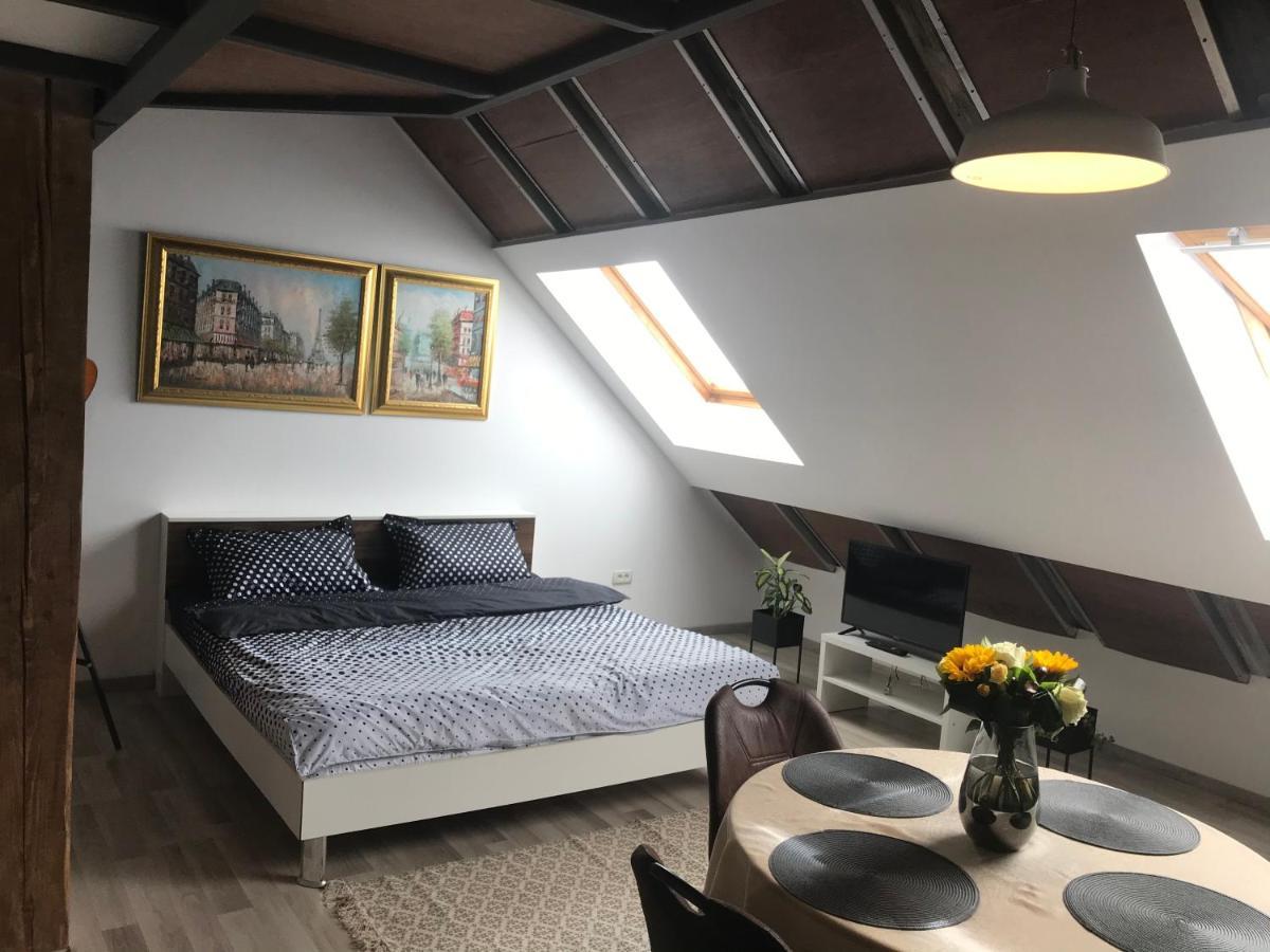 Savoya Nr2 Loft Studio Old City Center Self Check-In Workspace Timisoara Bagian luar foto