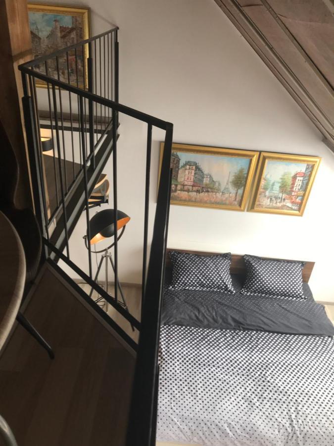Savoya Nr2 Loft Studio Old City Center Self Check-In Workspace Timisoara Bagian luar foto