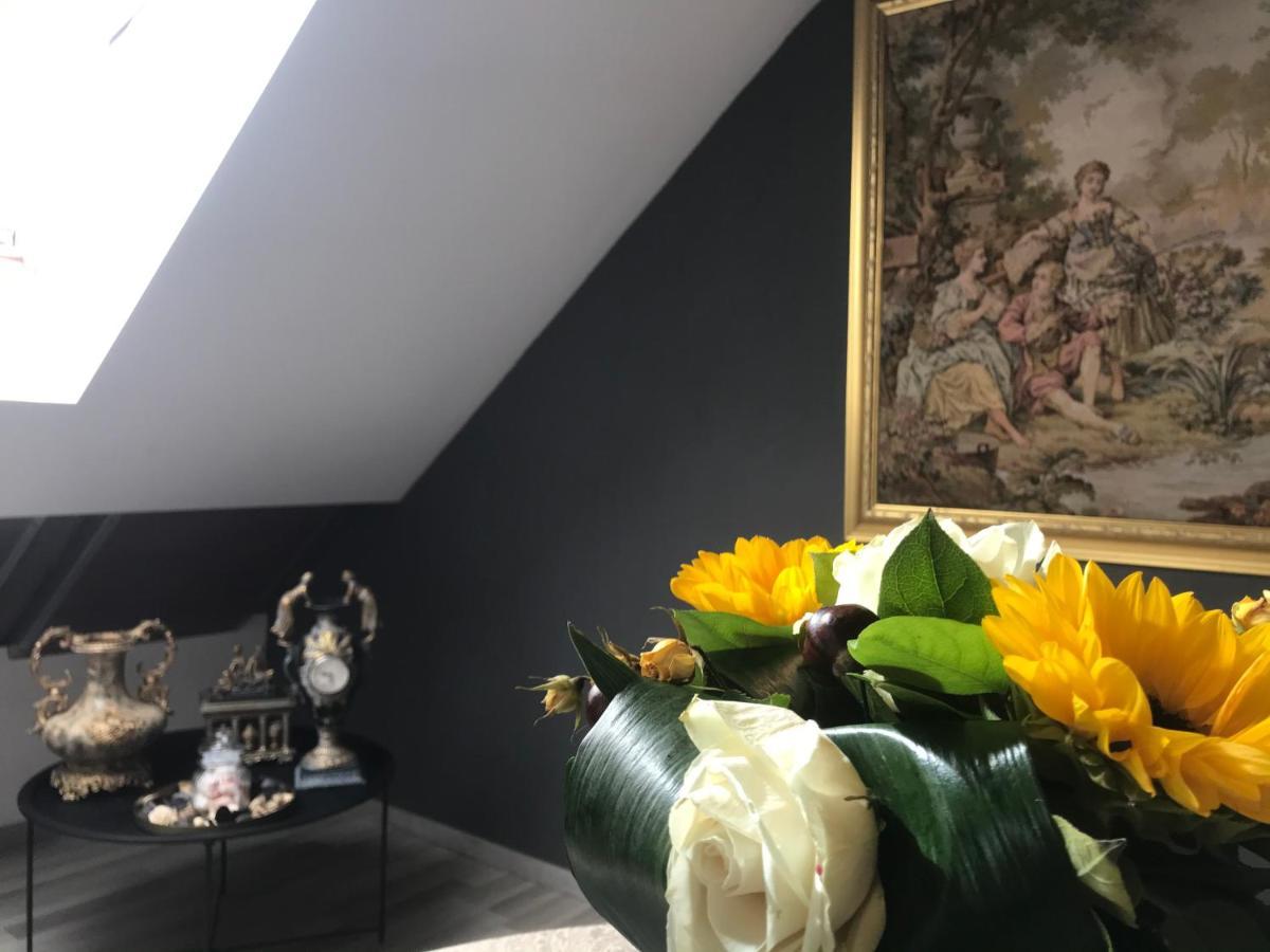Savoya Nr2 Loft Studio Old City Center Self Check-In Workspace Timisoara Bagian luar foto