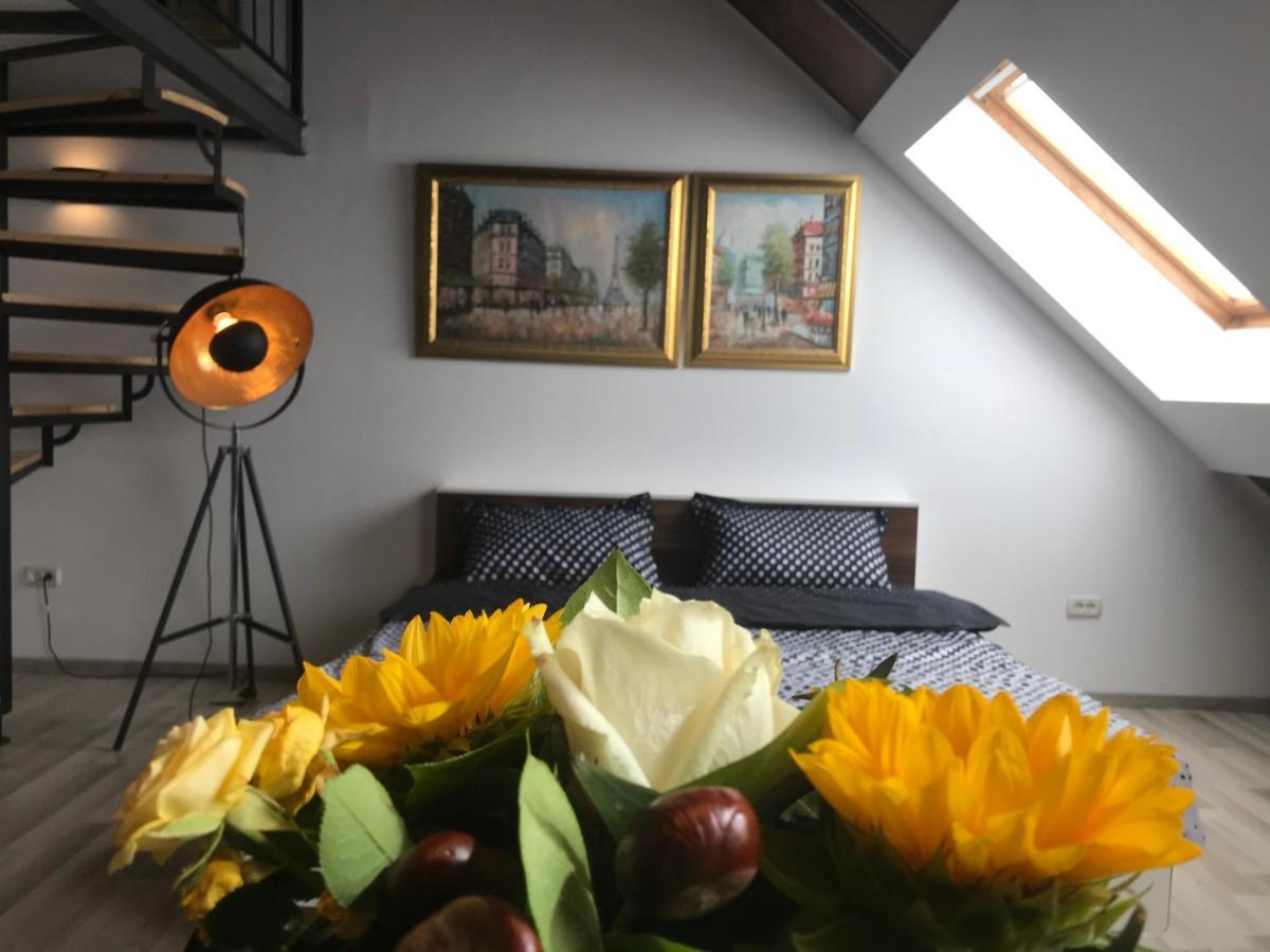 Savoya Nr2 Loft Studio Old City Center Self Check-In Workspace Timisoara Bagian luar foto
